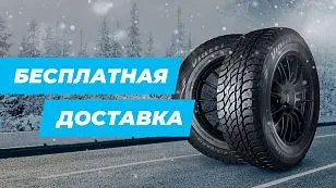 Доставим бесплатно по России!